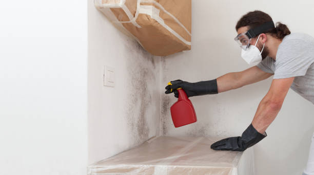 Professional Mold Remediation technician working in Brutus, MI