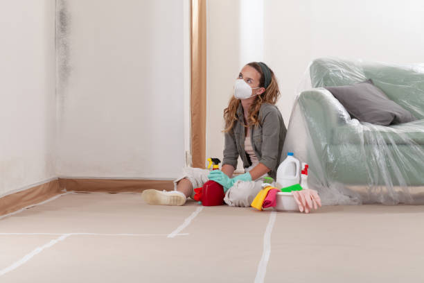 Reliable Mold Remediation contractor in Brutus, MI by Car Mold Remediation